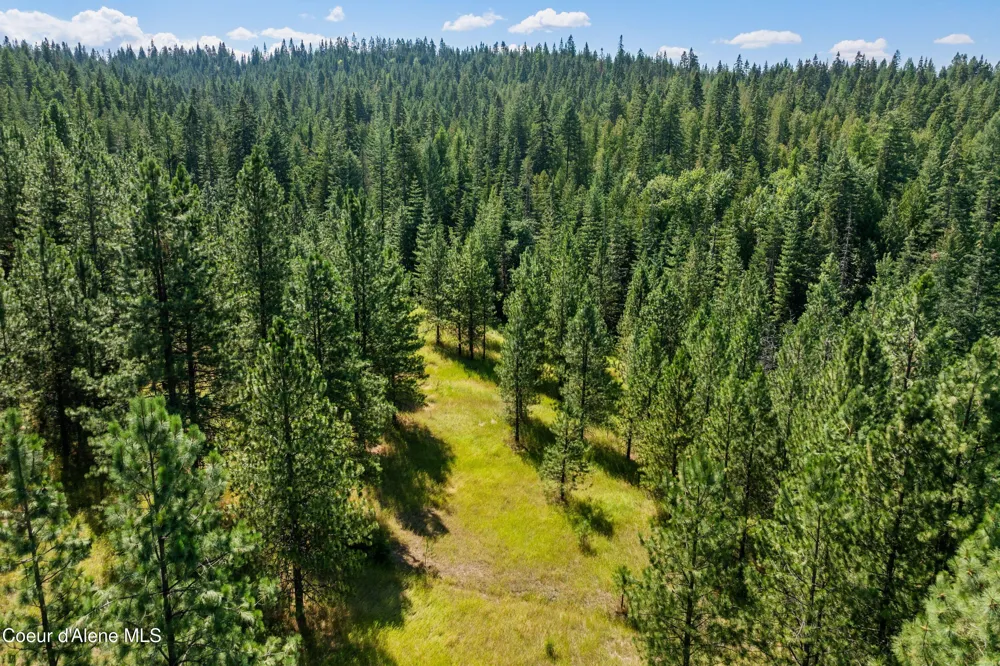 2300 S DUNLAP ROAD Harrison, ID 83833
