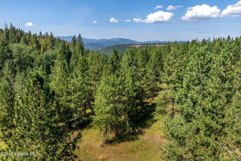 2300 S DUNLAP ROAD Harrison, ID 83833