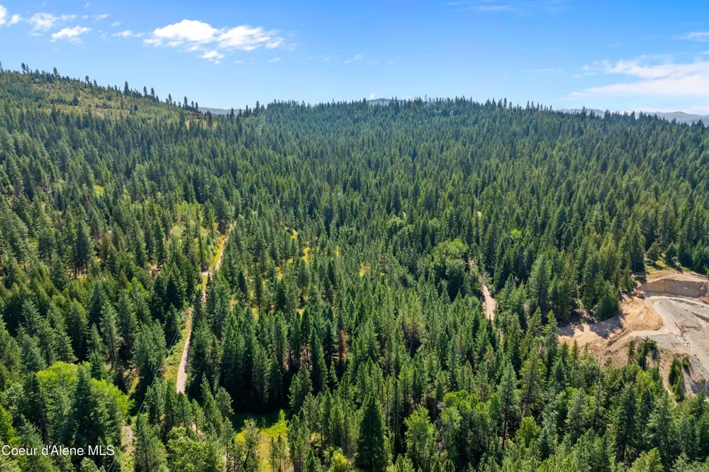 2300 S DUNLAP ROAD Harrison, ID 83833