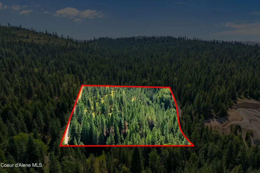 2300 S DUNLAP ROAD Harrison, ID 83833