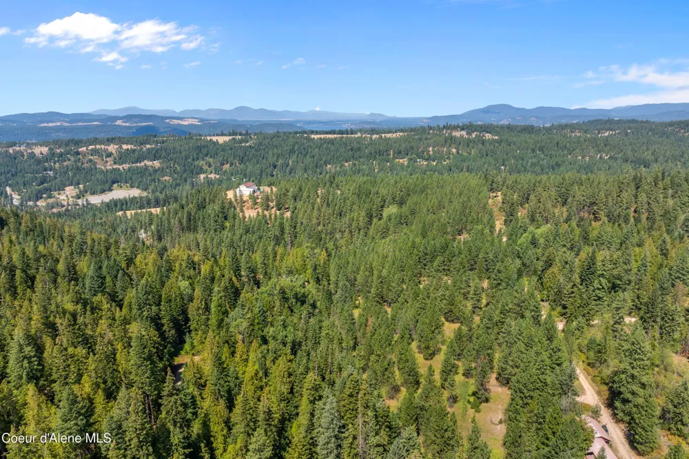 2300 S DUNLAP ROAD Harrison, ID 83833