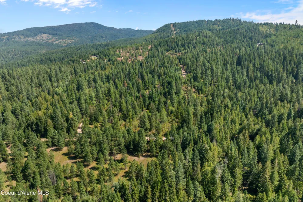 2300 S DUNLAP ROAD Harrison, ID 83833