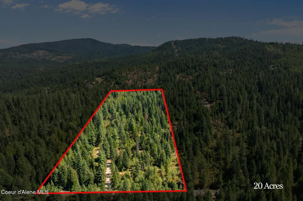 2300 S DUNLAP ROAD Harrison, ID 83833