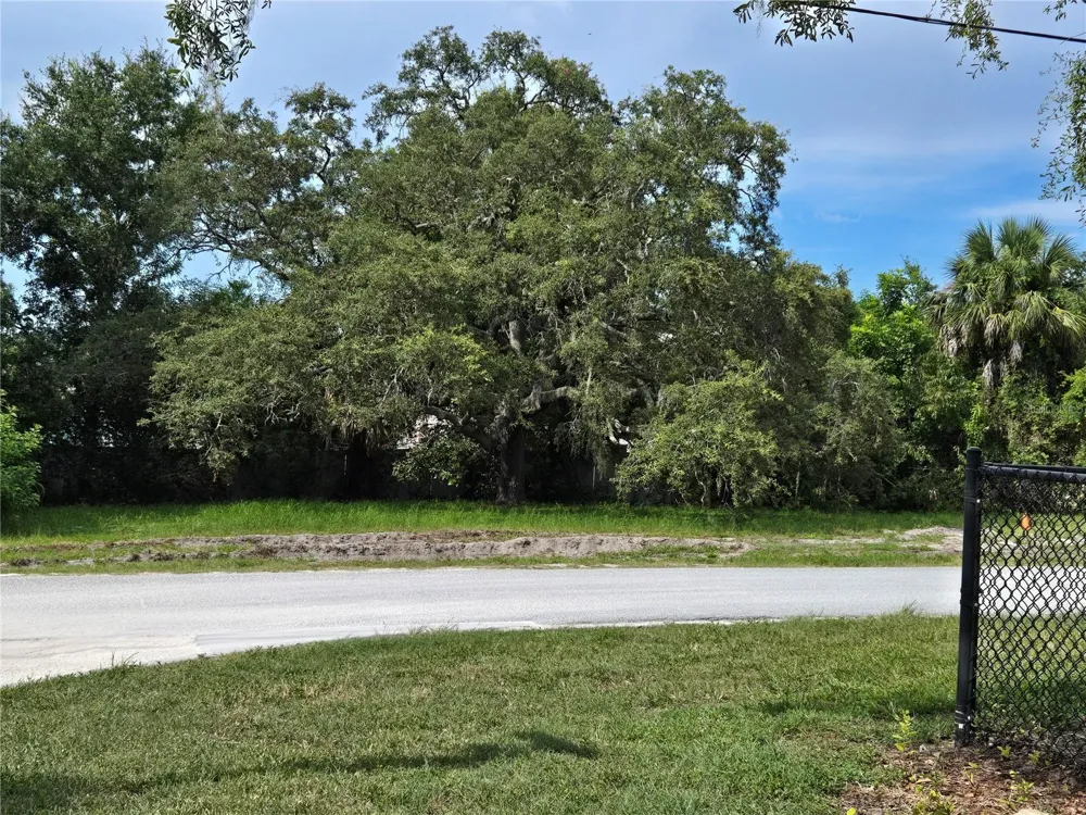 440 JACKSON STREET Dunedin, FL 34698