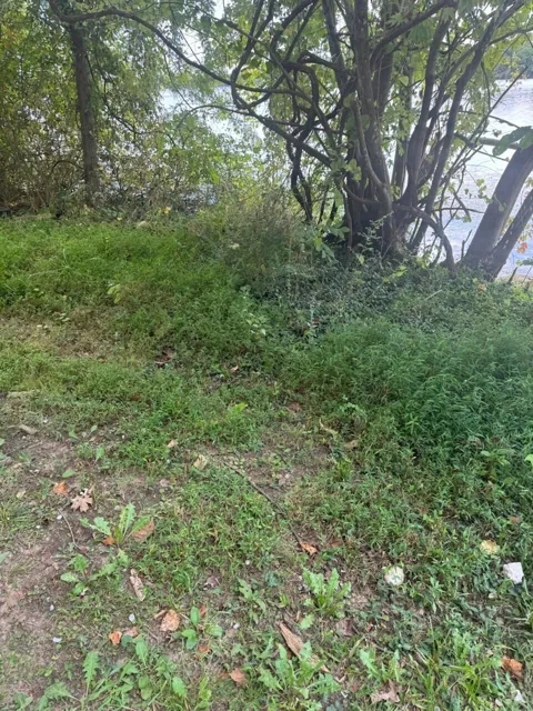 Circle Road