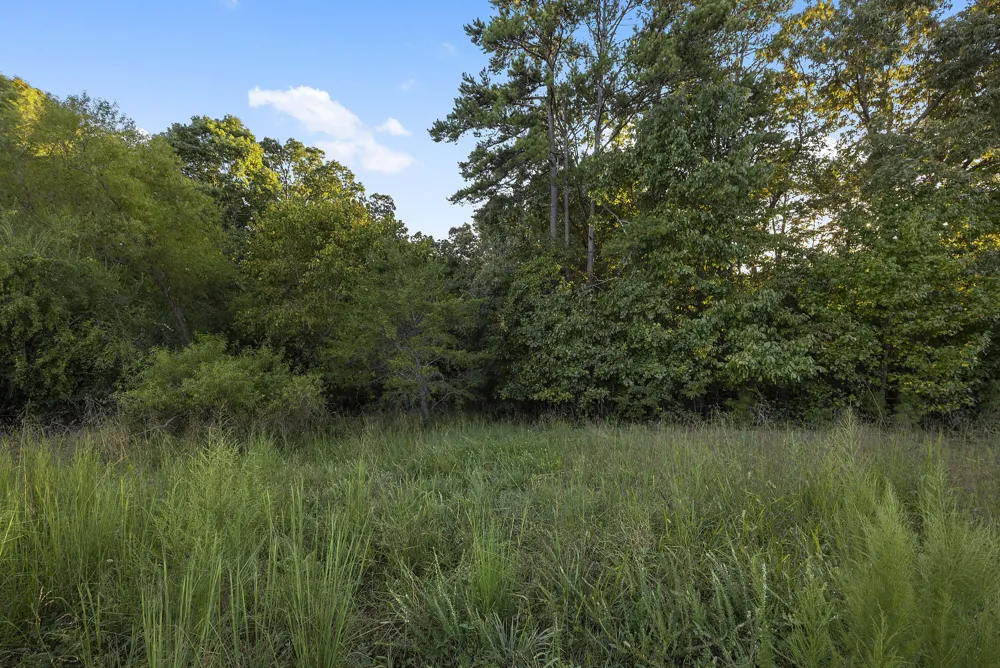 2124 Boat Hook Lane Sale Creek, TN 37373