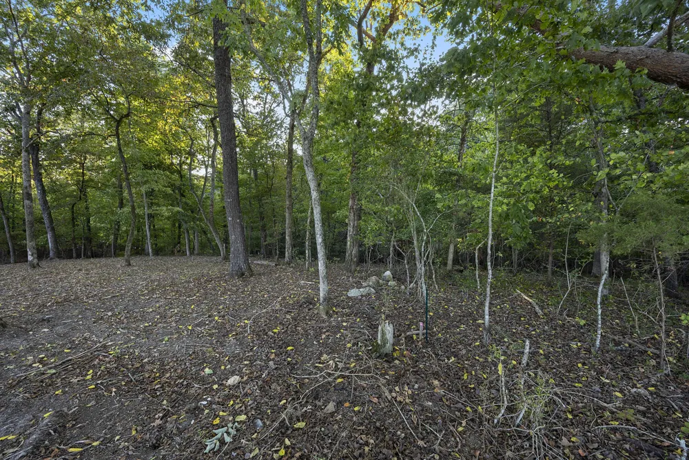 2124 Boat Hook Lane Sale Creek, TN 37373