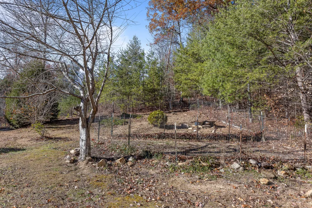 310 Rural Vale Road Tellico Plains, TN 37385