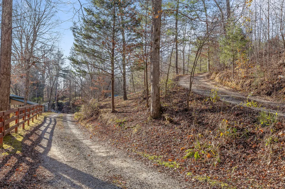 310 Rural Vale Road Tellico Plains, TN 37385