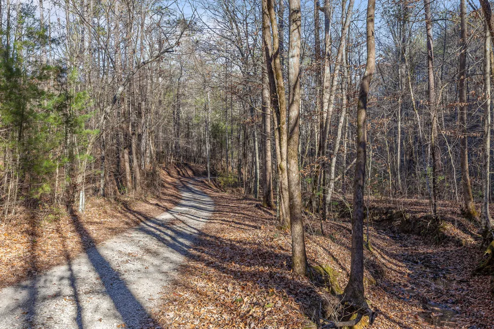 310 Rural Vale Road Tellico Plains, TN 37385
