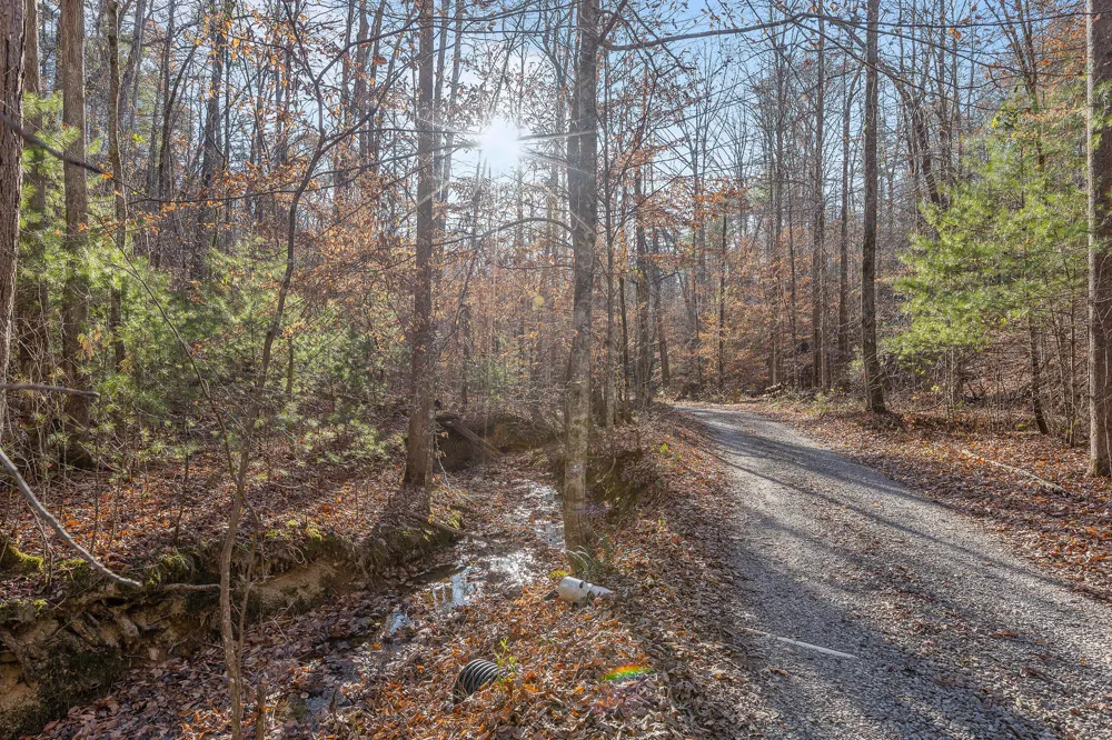 310 Rural Vale Road Tellico Plains, TN 37385