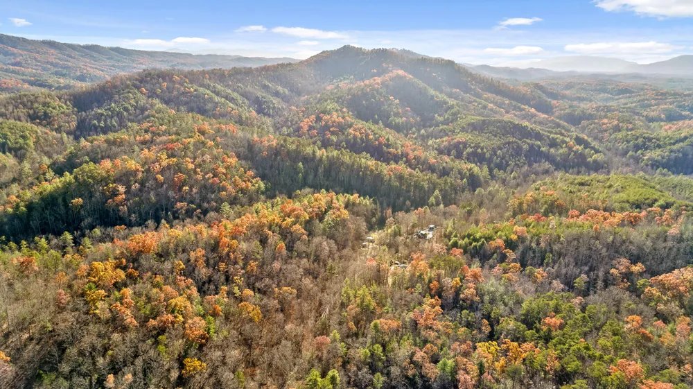 310 Rural Vale Road Tellico Plains, TN 37385