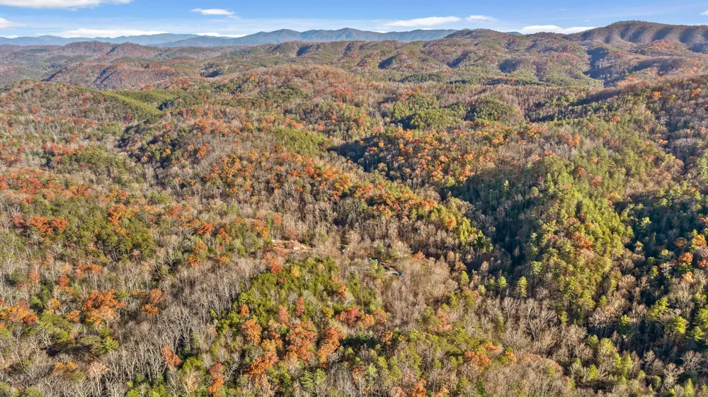 310 Rural Vale Road Tellico Plains, TN 37385