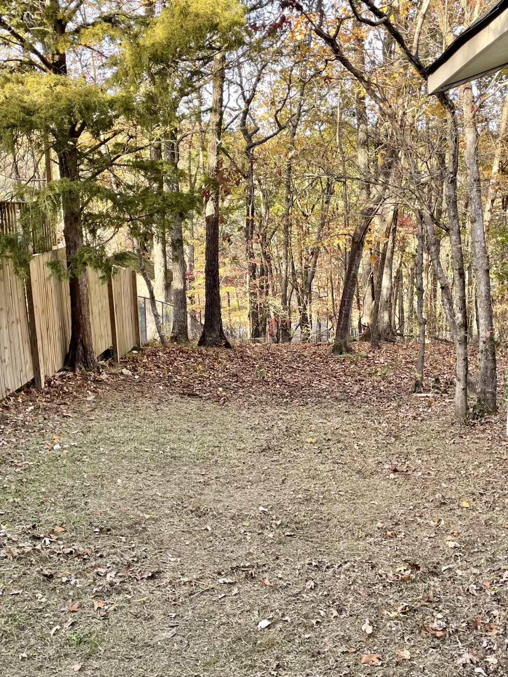 124 Jonathan Way Rocky Face, GA 30740