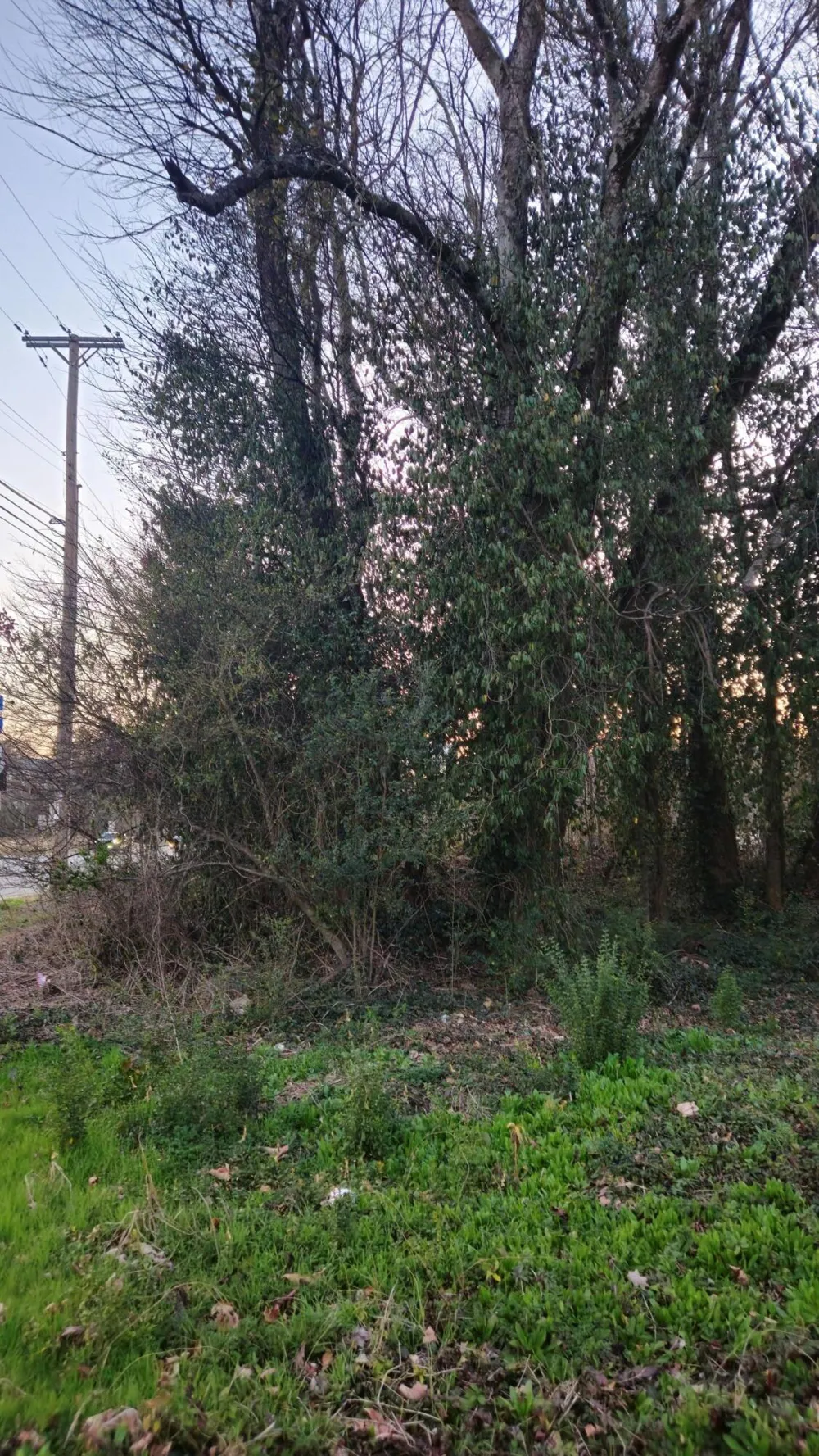 8203 Old Lee Highway Ooltewah, TN 37363