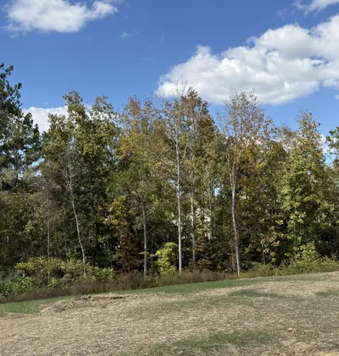 3 Creekwood