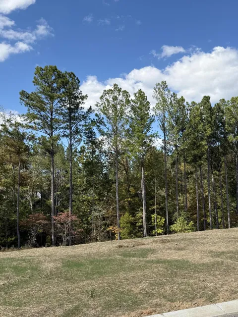 4 Creekwood