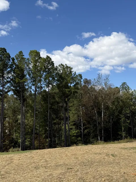 5 Creekwood