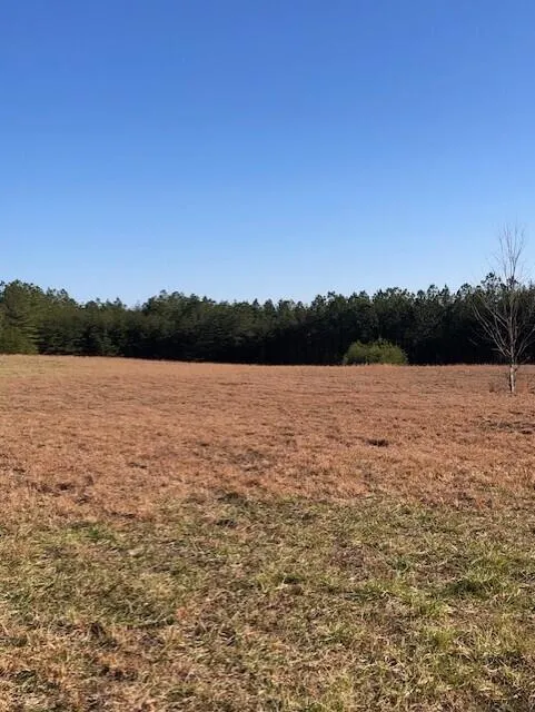5734 U S 127 Signal Mountain, TN 37377