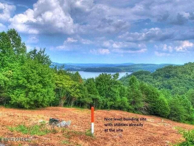 406 Flint Ridge Road Rockwood, TN 37854