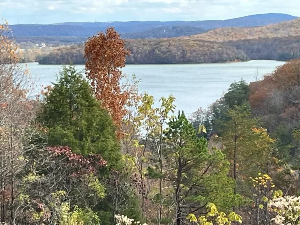 406 Flint Ridge Road Rockwood, TN 37854