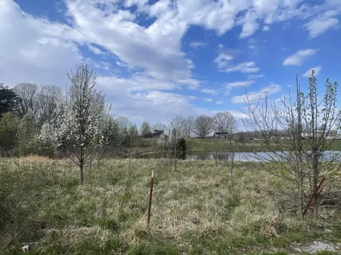 2 Watson Loop