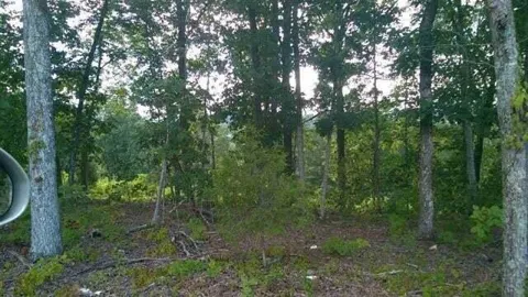 104105 Peach Orchard Hill Road NE