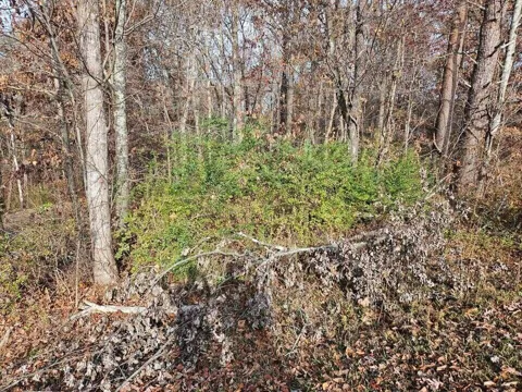 2930 Smyrna Heights Road
