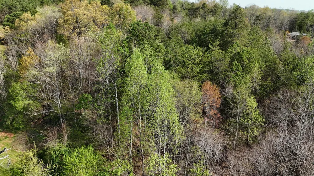 County Road 675 Athens, TN 37303