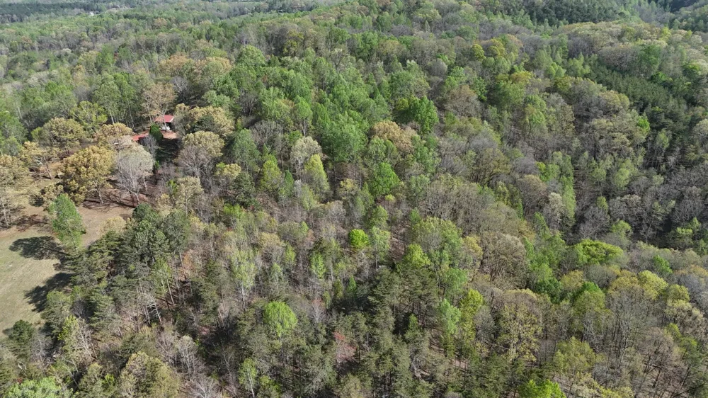 County Road 675 Athens, TN 37303