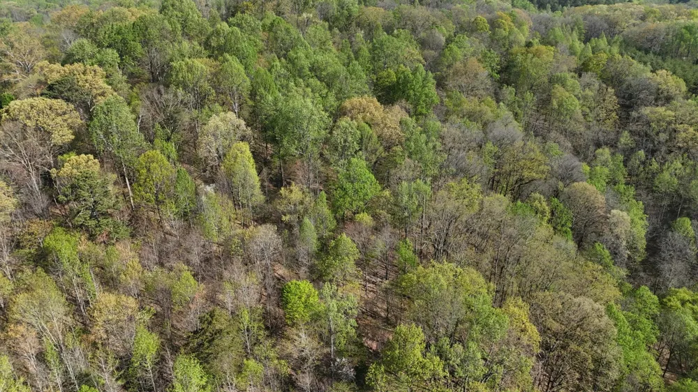 County Road 675 Athens, TN 37303