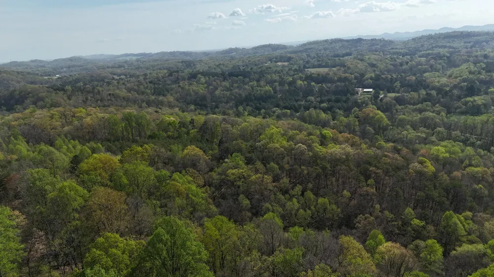 County Road 675 Athens, TN 37303