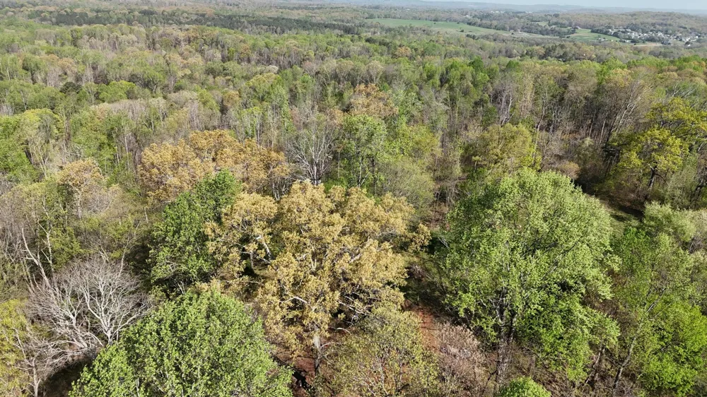 County Road 675 Athens, TN 37303