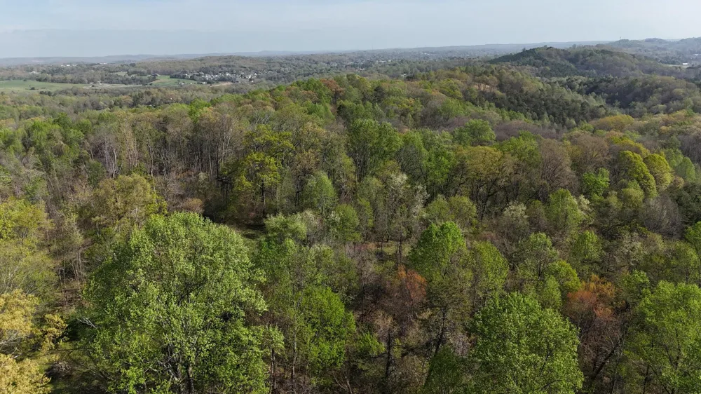 County Road 675 Athens, TN 37303
