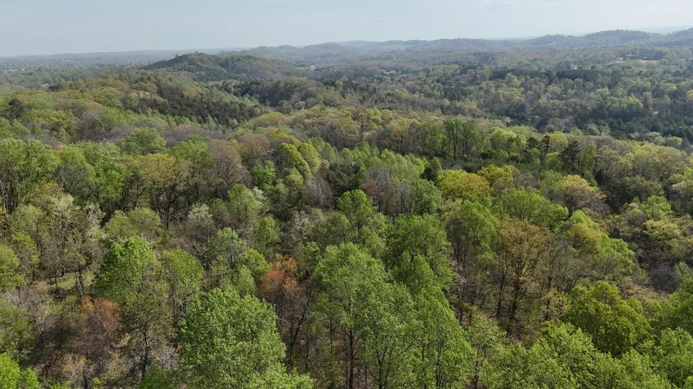 County Road 675 Athens, TN 37303