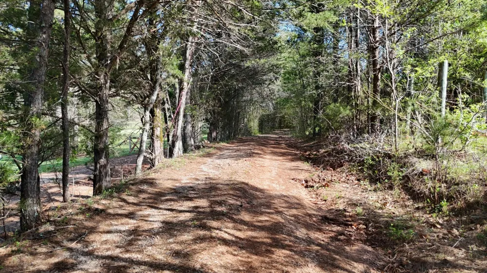County Road 675 Athens, TN 37303