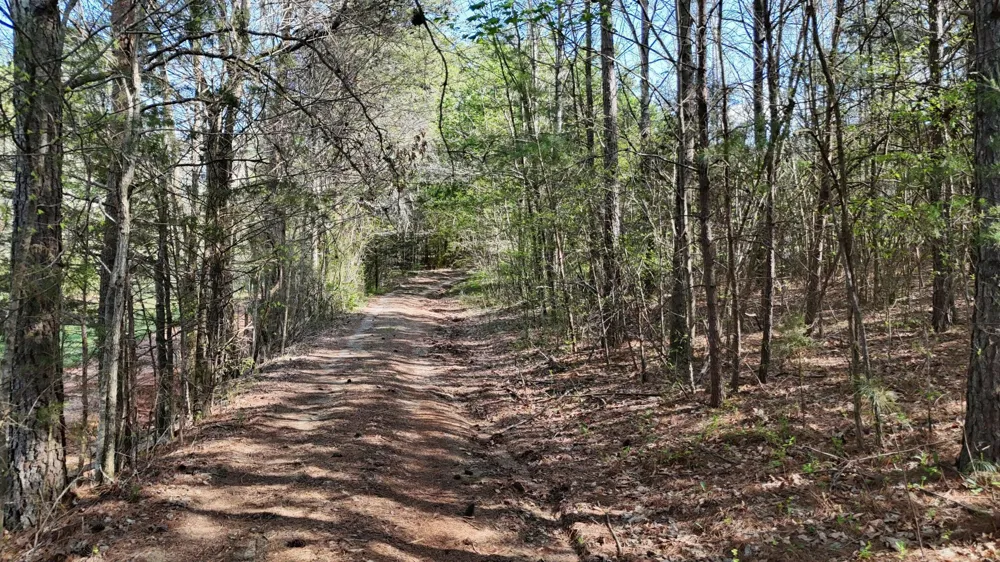 County Road 675 Athens, TN 37303