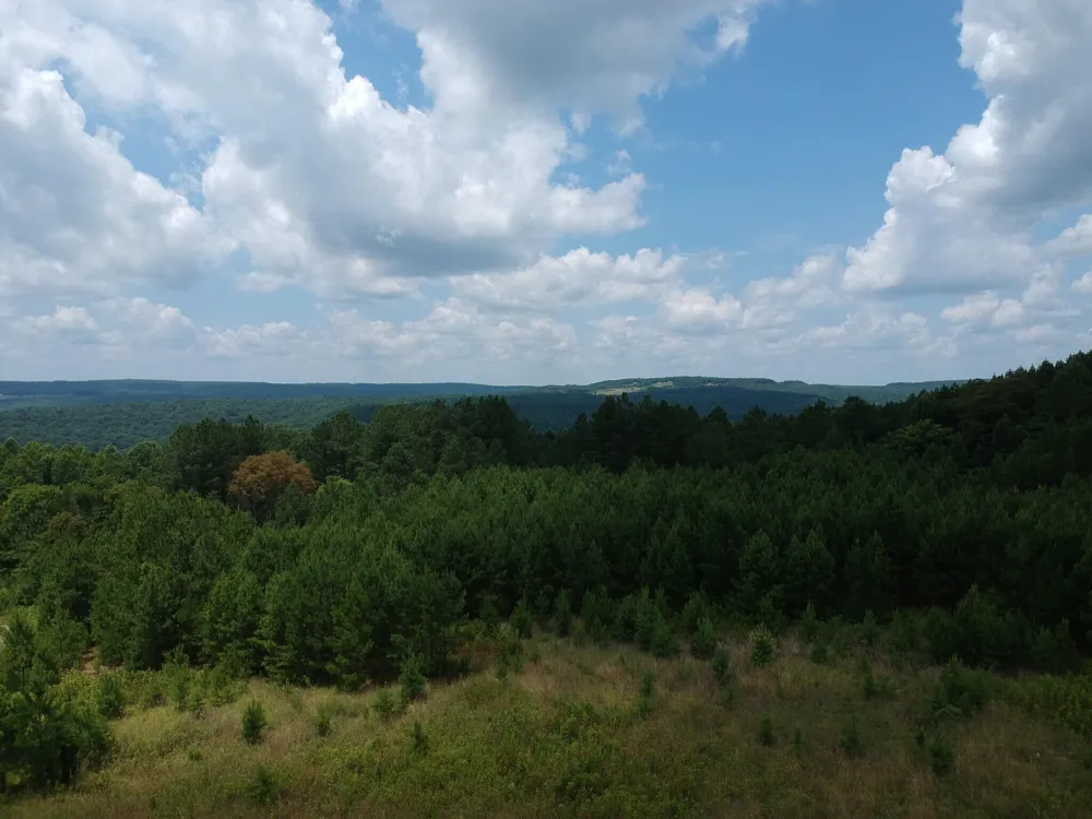5199 Burkett Chapel Road Whitwell, TN 37397
