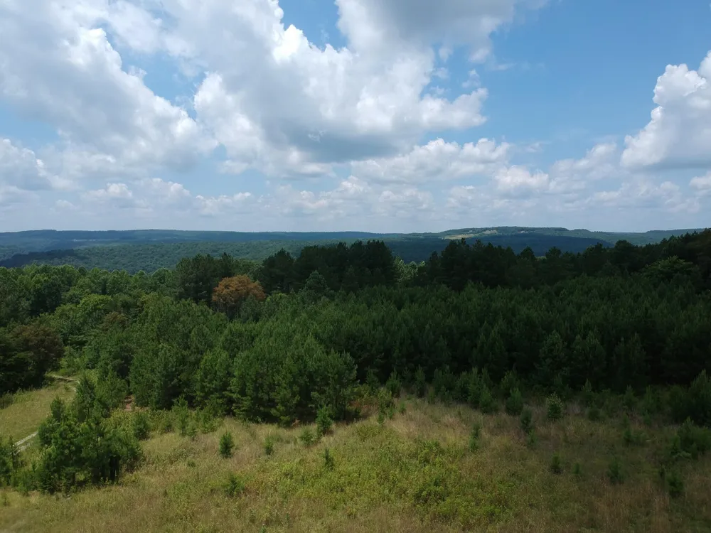 5199 Burkett Chapel Road Whitwell, TN 37397