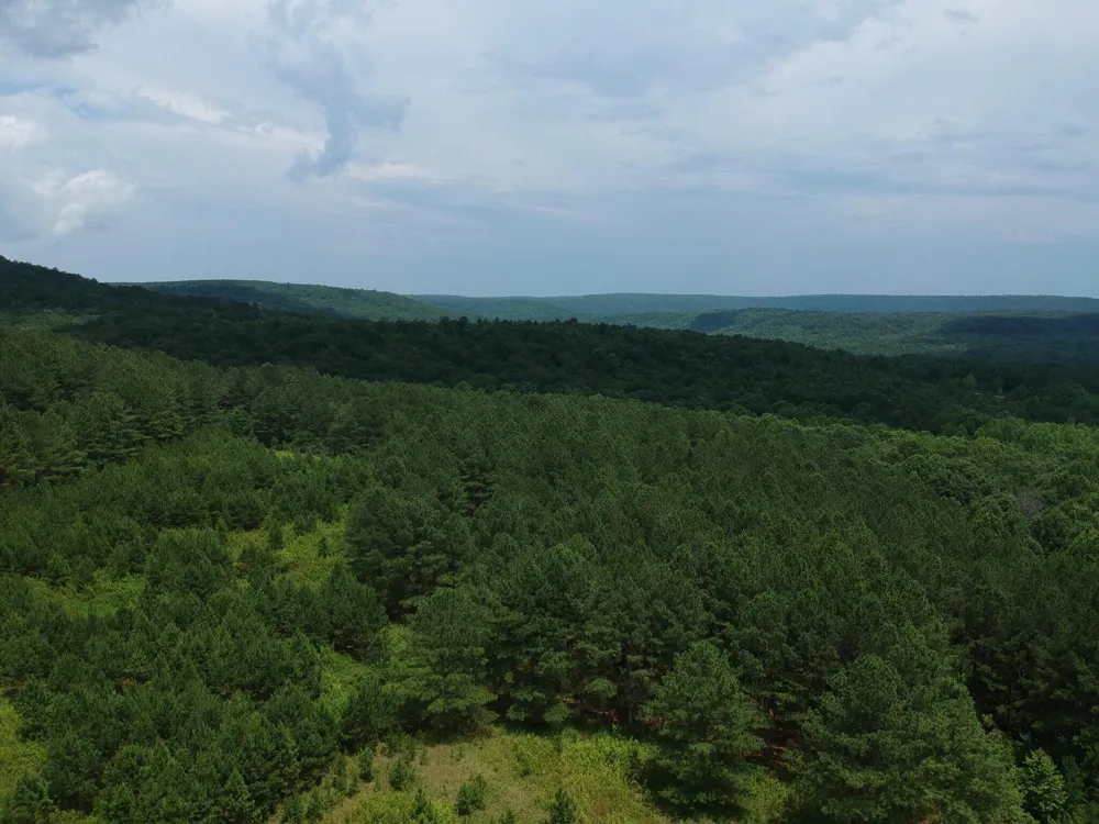 5199 Burkett Chapel Road Whitwell, TN 37397