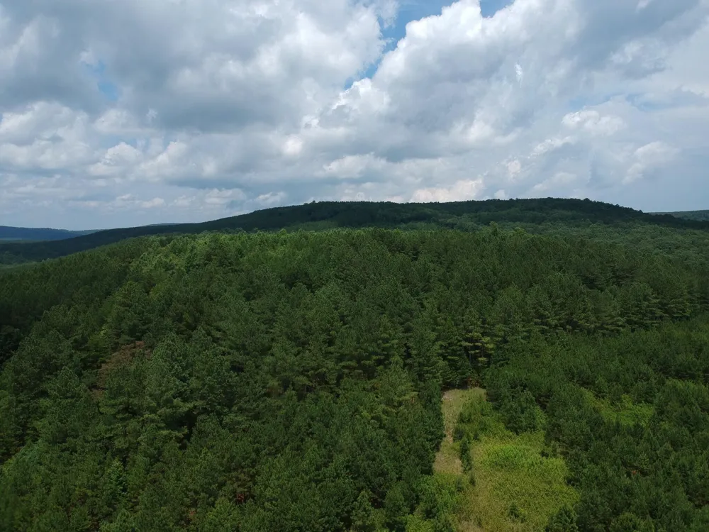 5199 Burkett Chapel Road Whitwell, TN 37397