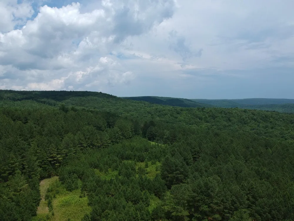 5199 Burkett Chapel Road Whitwell, TN 37397