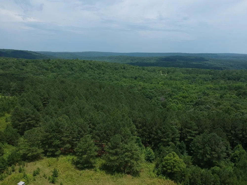 5199 Burkett Chapel Road Whitwell, TN 37397