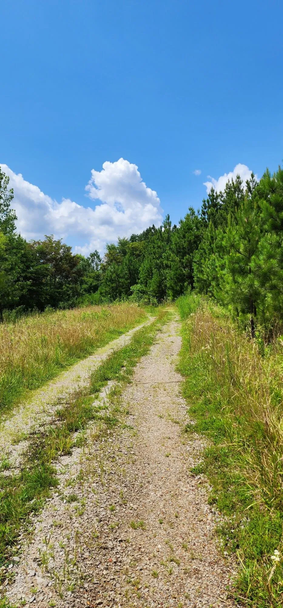 5199 Burkett Chapel Road Whitwell, TN 37397