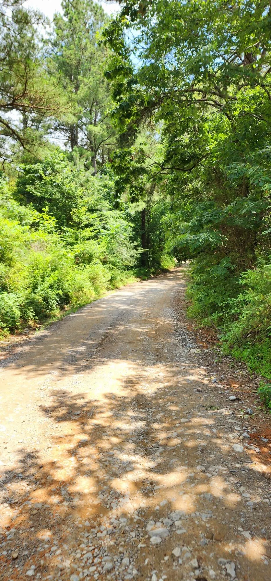 5199 Burkett Chapel Road Whitwell, TN 37397