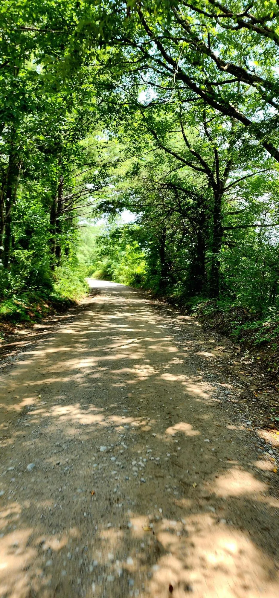 5199 Burkett Chapel Road Whitwell, TN 37397