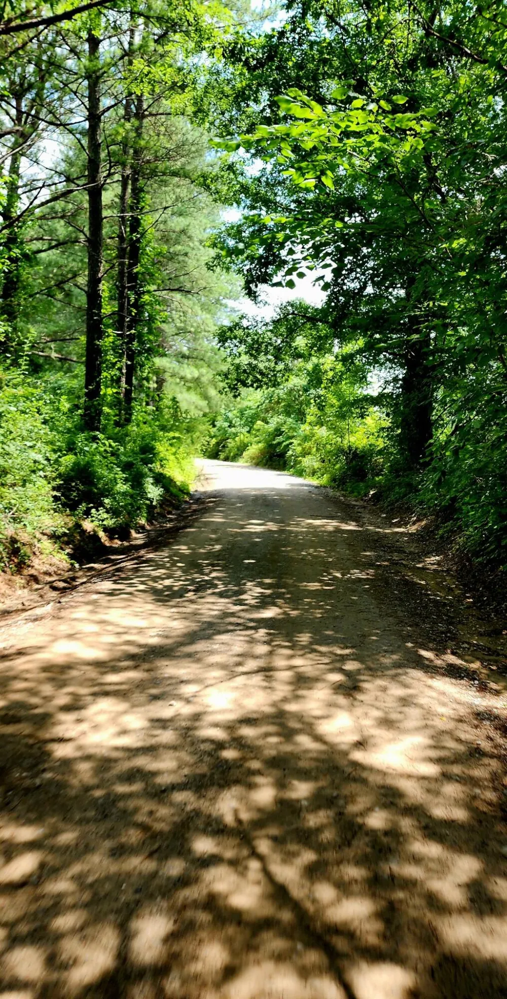 5199 Burkett Chapel Road Whitwell, TN 37397