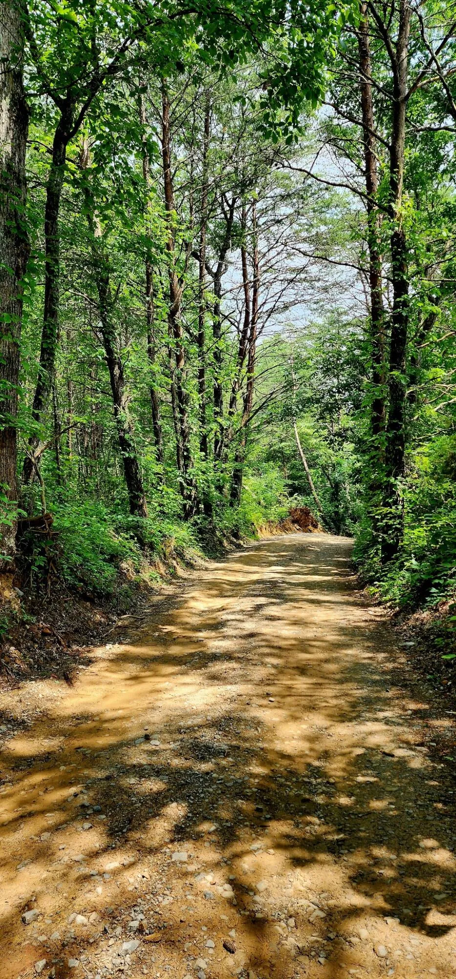 5199 Burkett Chapel Road Whitwell, TN 37397