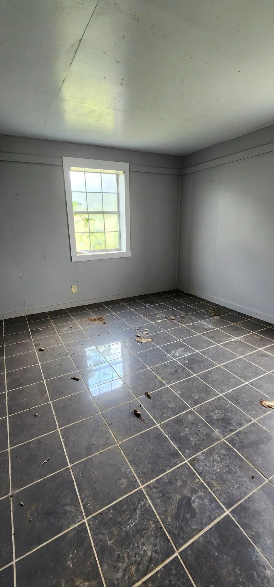 5199 Burkett Chapel Road Whitwell, TN 37397