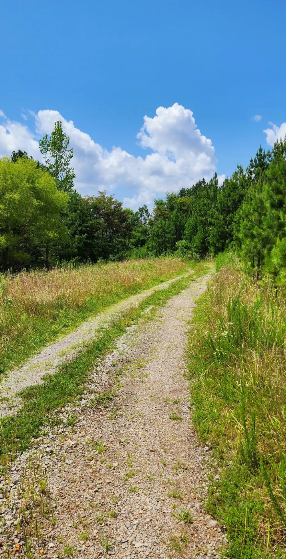 5199 Burkett Chapel Road Whitwell, TN 37397